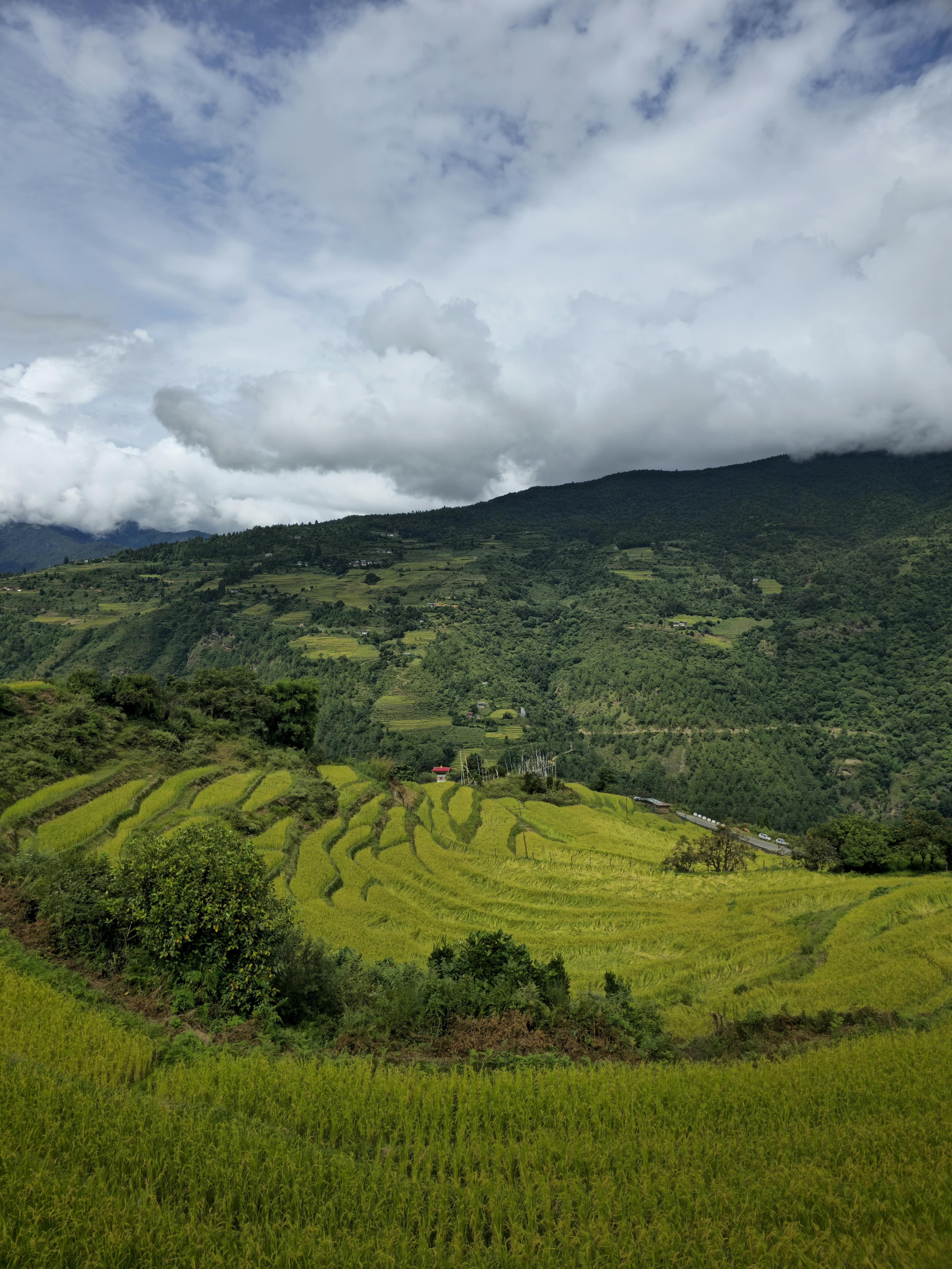 Panoramic view of Bhutan's sacred Himalayan valleys at golden hour